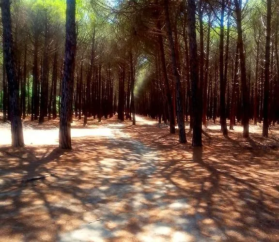 Nyaraló 